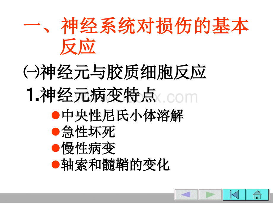 神经.ppt_第3页