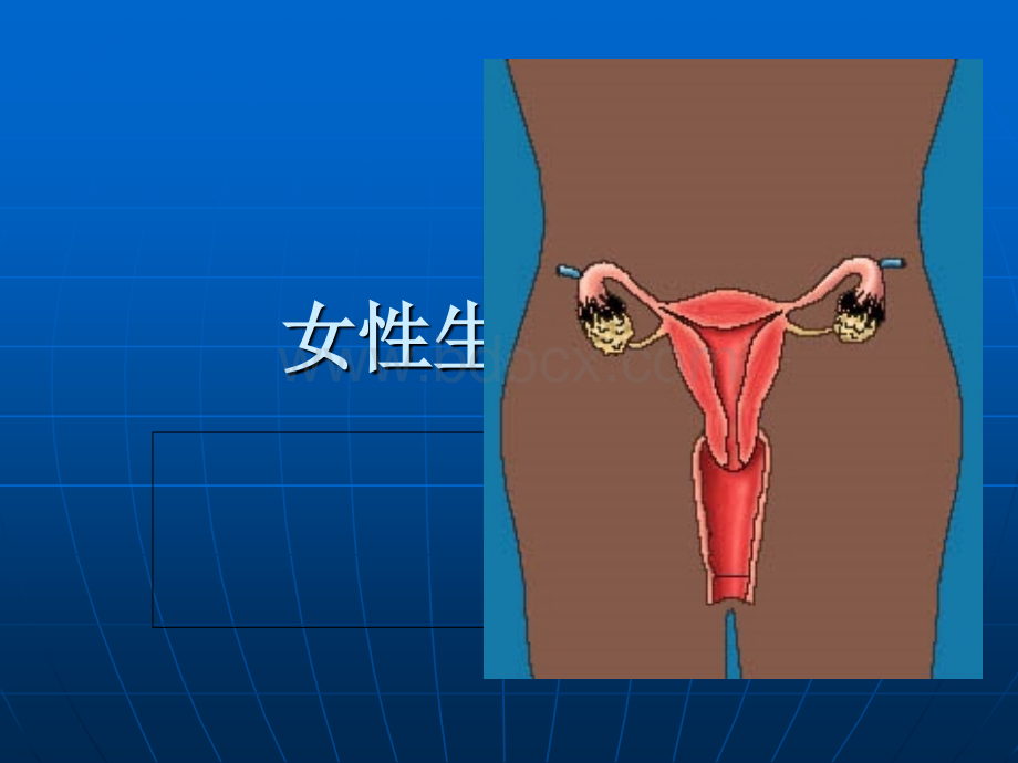 女性生殖系统保护及护理.ppt_第1页