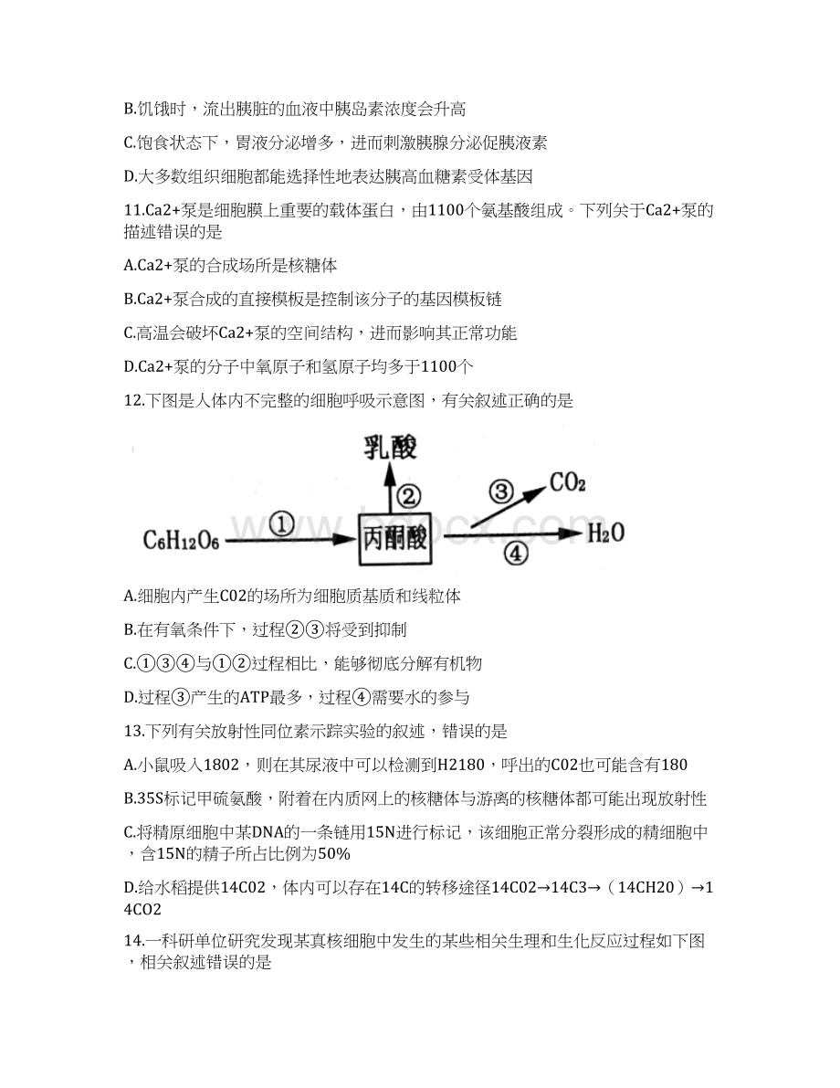 学年山东省泰安市高三上学期期末考试生物试题Word格式.docx_第3页