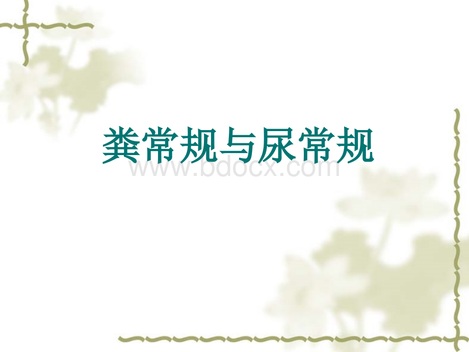 粪常规与尿常规.ppt