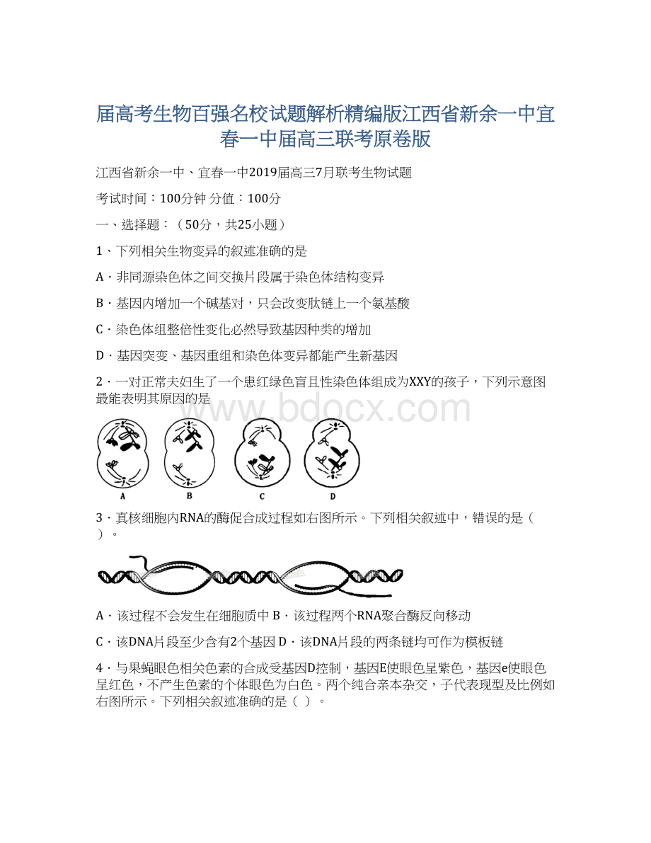 届高考生物百强名校试题解析精编版江西省新余一中宜春一中届高三联考原卷版.docx