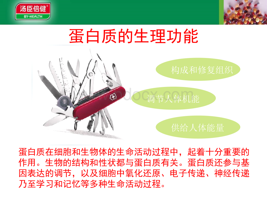 蛋白质粉_精品文档.ppt_第3页