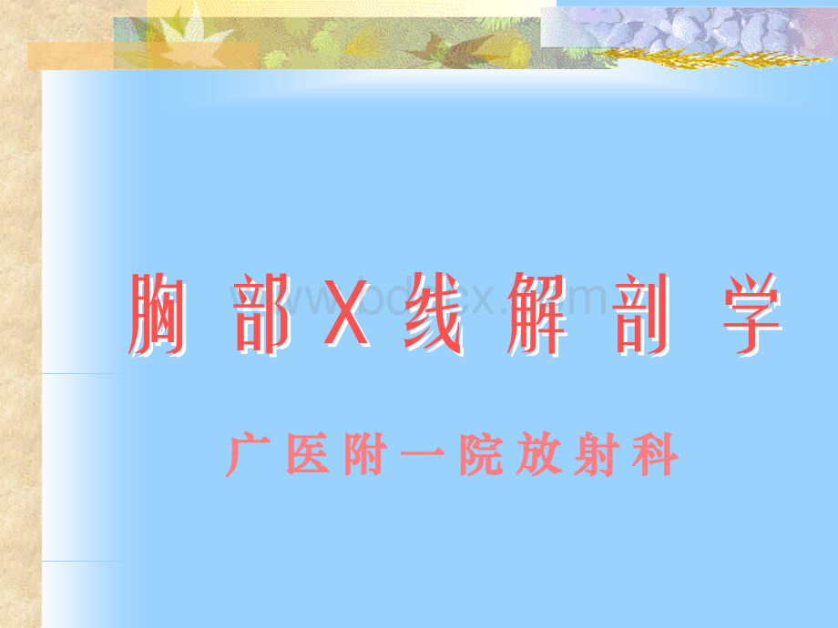 胸片广医一院.ppt