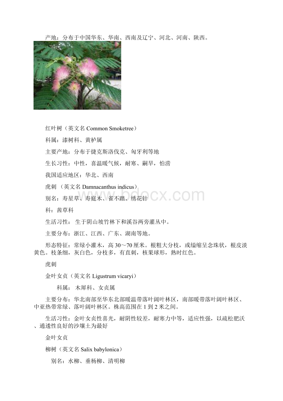 植物卡片12132MicrosoftWord文档10页文档资料Word文件下载.docx_第3页