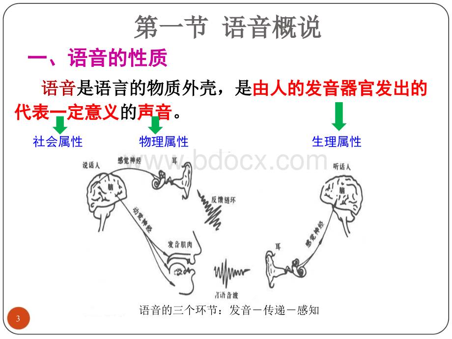 现代汉语--1语音-1.1概说.ppt_第3页