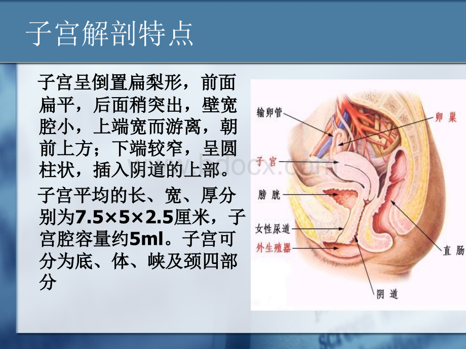 剖宫产手术.ppt_第3页