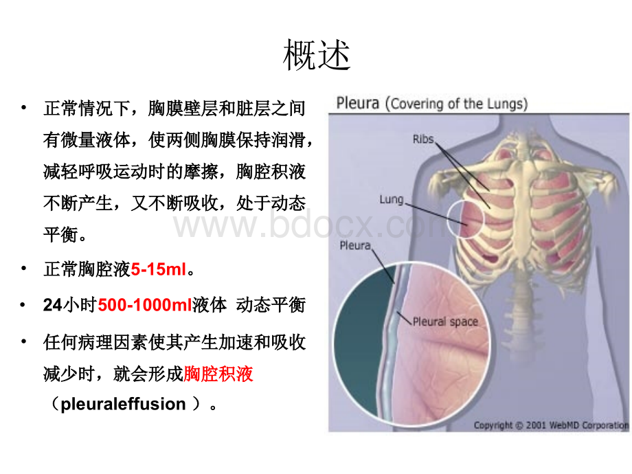 胸腔积液鉴别诊断.pptx_第2页