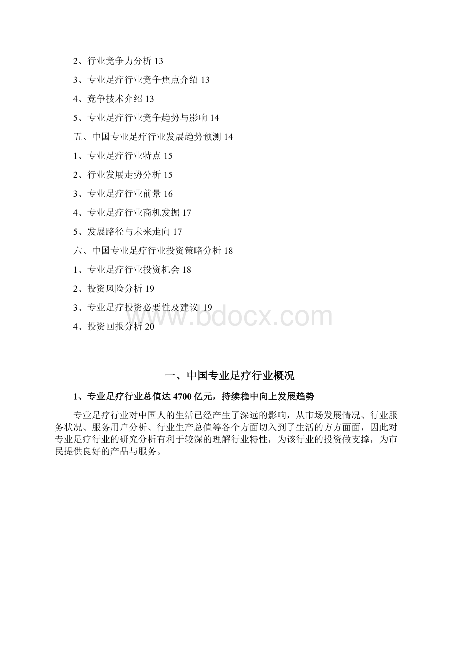 专业足疗行业分析研究报告Word格式.docx_第2页