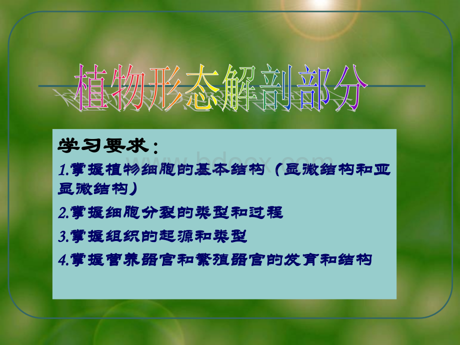 大学植物学细胞ppt课件.ppt