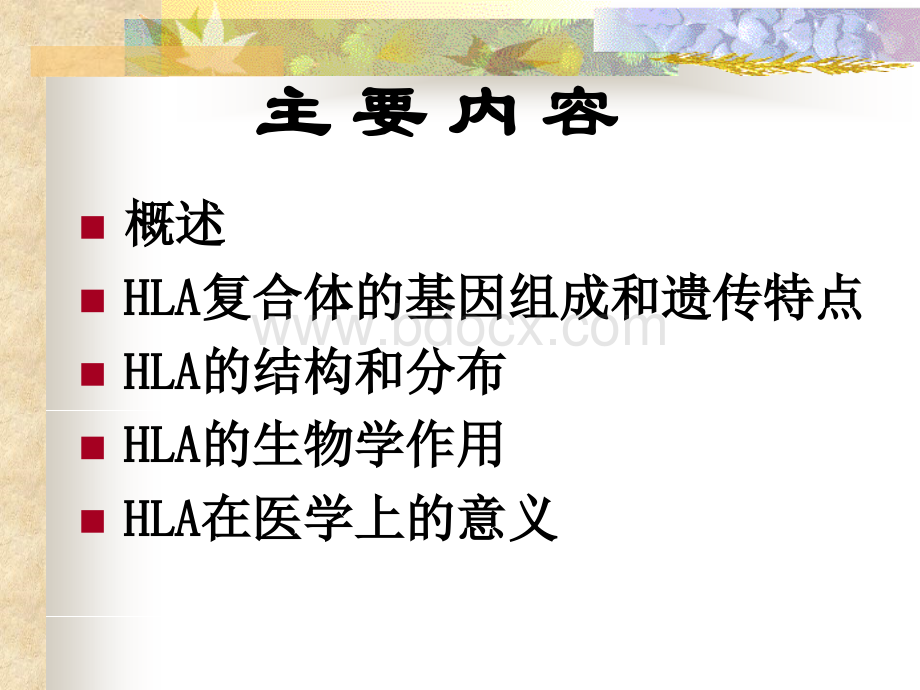 5主要组织相容性复合体PPT文件格式下载.ppt_第2页