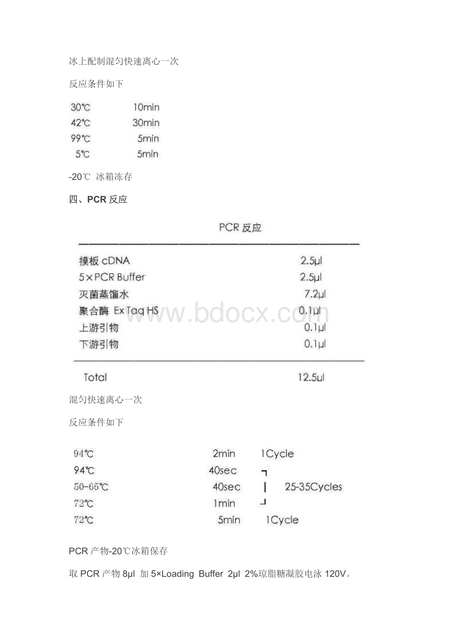 RT-PCR全过程步骤_精品文档Word格式文档下载.docx_第3页