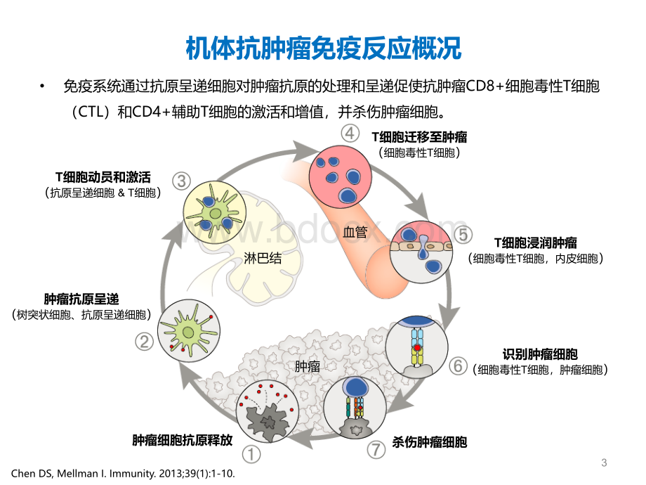 免疫治疗新进展.ppt_第3页