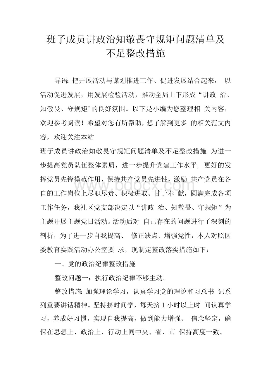 班子成员讲政治知敬畏守规矩问题清单及不足整改措施.docx