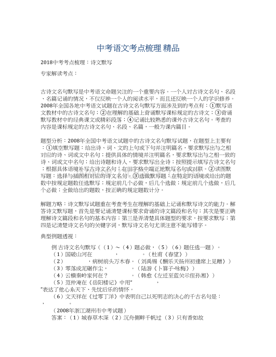 中考语文考点梳理 精品Word文件下载.docx_第1页