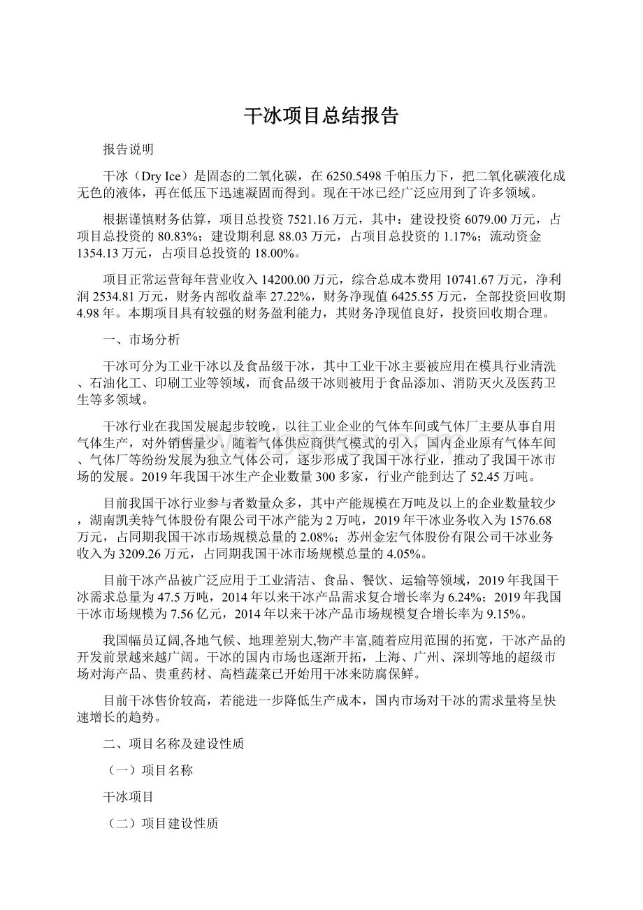 干冰项目总结报告文档格式.docx_第1页