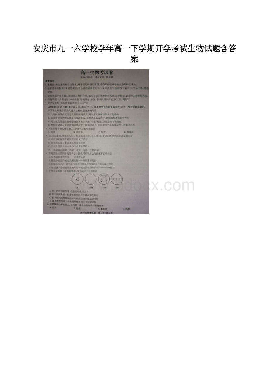 安庆市九一六学校学年高一下学期开学考试生物试题含答案Word格式文档下载.docx