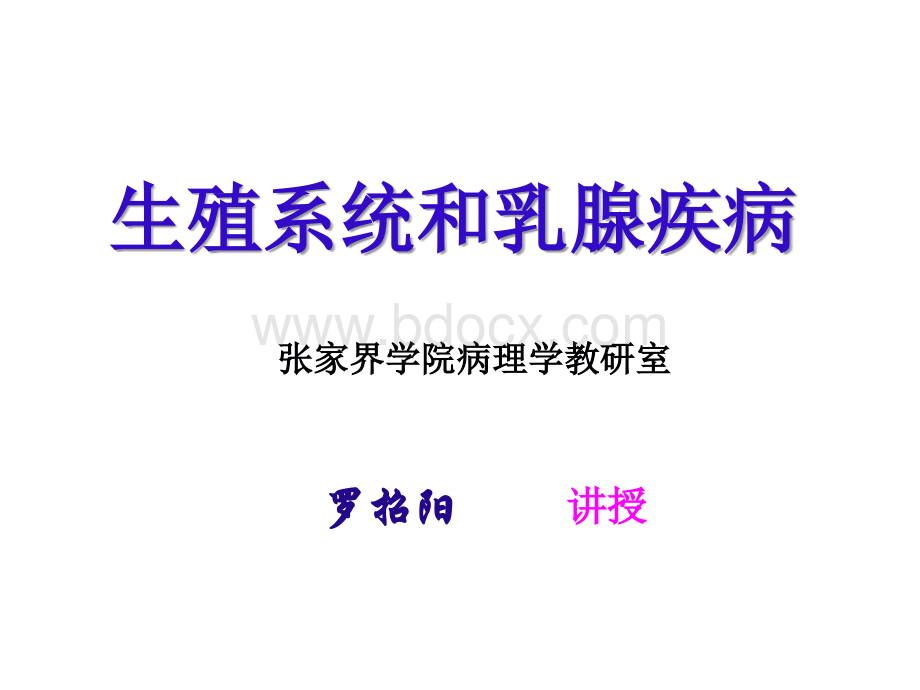 第十二章生殖系统疾病PPT文档格式.ppt