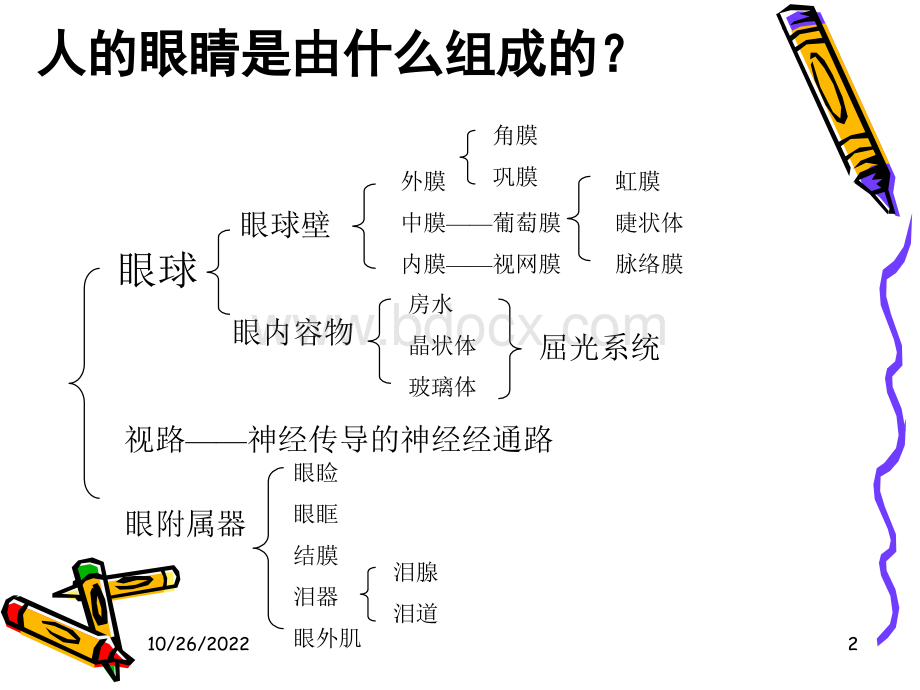 眼科基础知识PPT文档格式.ppt_第2页