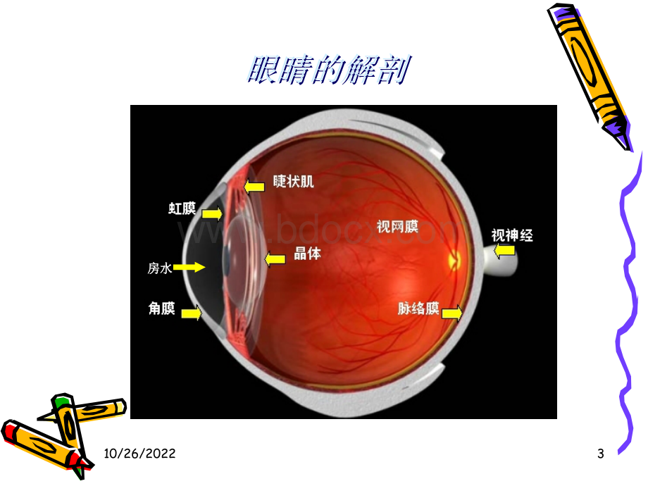 眼科基础知识PPT文档格式.ppt_第3页