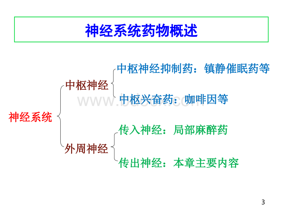 Z05第五章外周神经系统药物.pptx_第3页