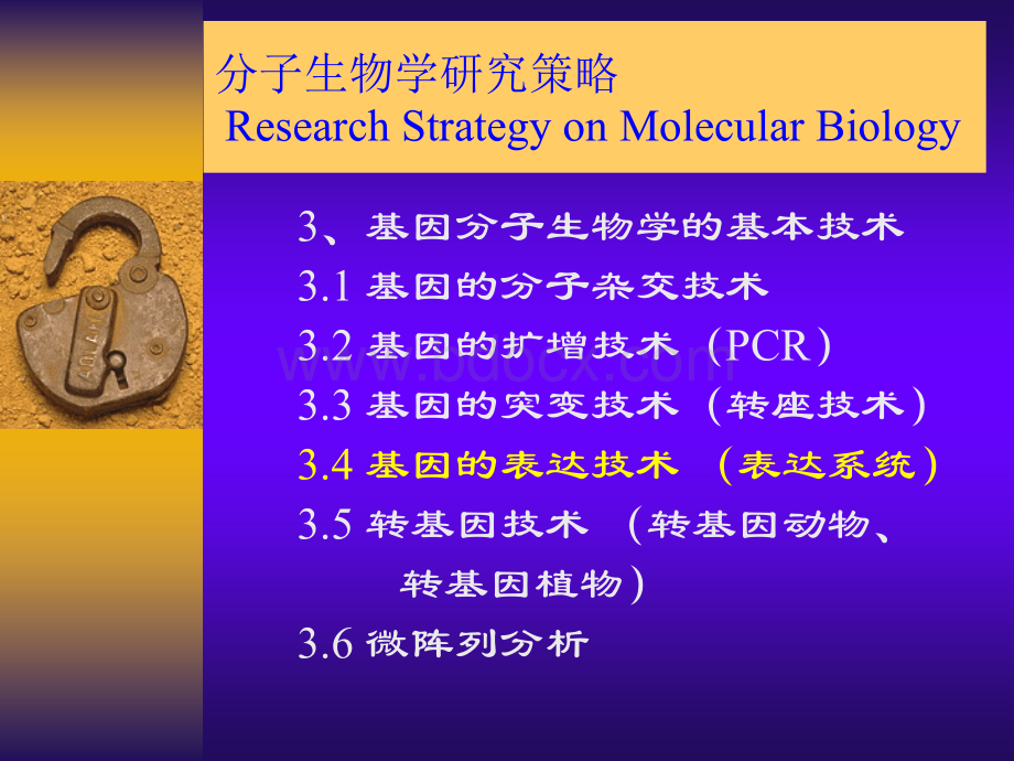 分子生物学研究策略-基因表达技术10月25日.ppt