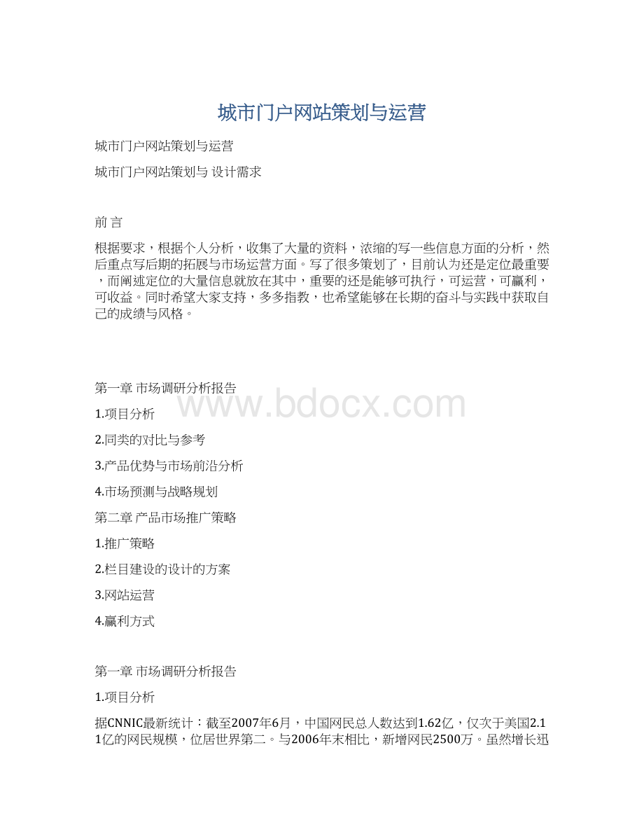 城市门户网站策划与运营.docx