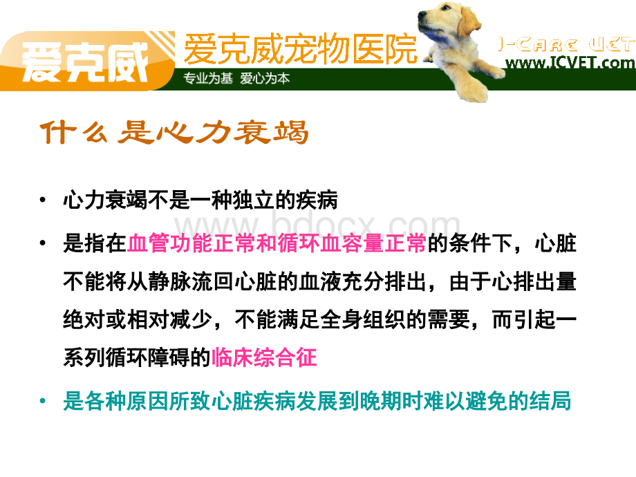 犬的心力衰竭PPT文档格式.pptx_第2页