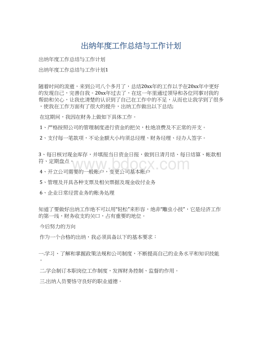 出纳年度工作总结与工作计划.docx