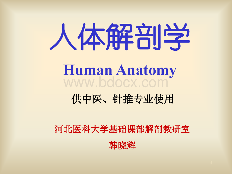 绪论骨学.ppt