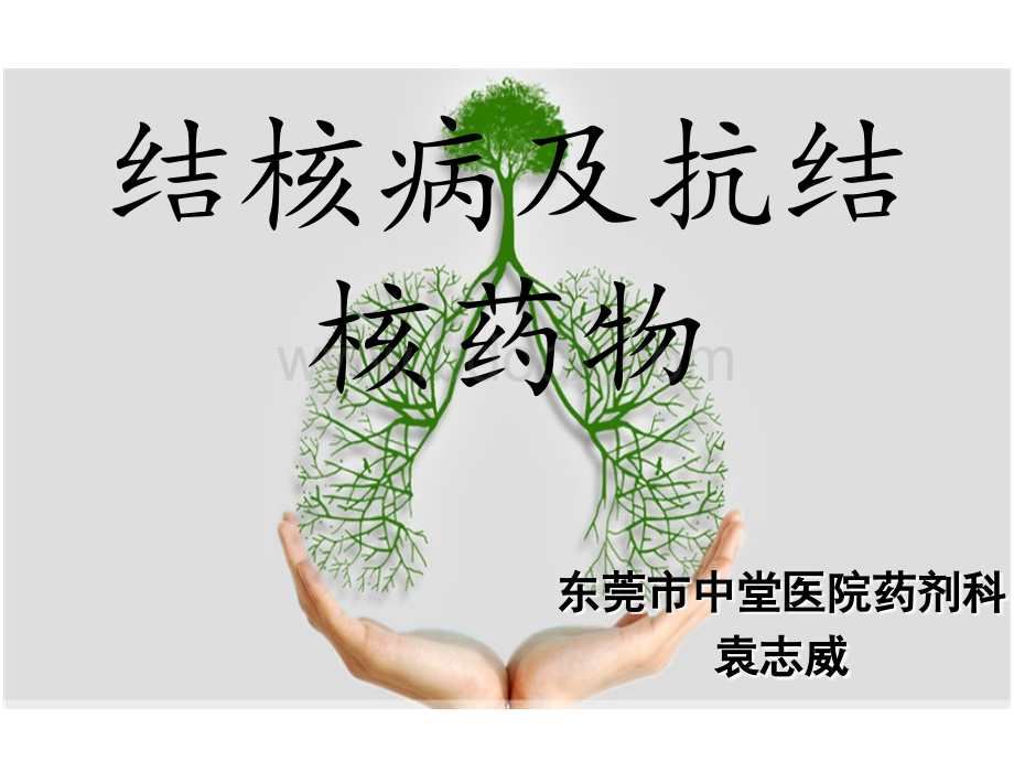 结核病及抗结核药物.ppt