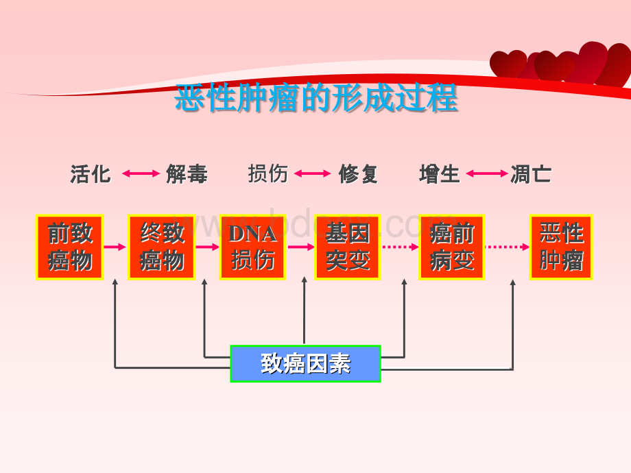 一种子宫癌筛查的新方法.ppt_第2页