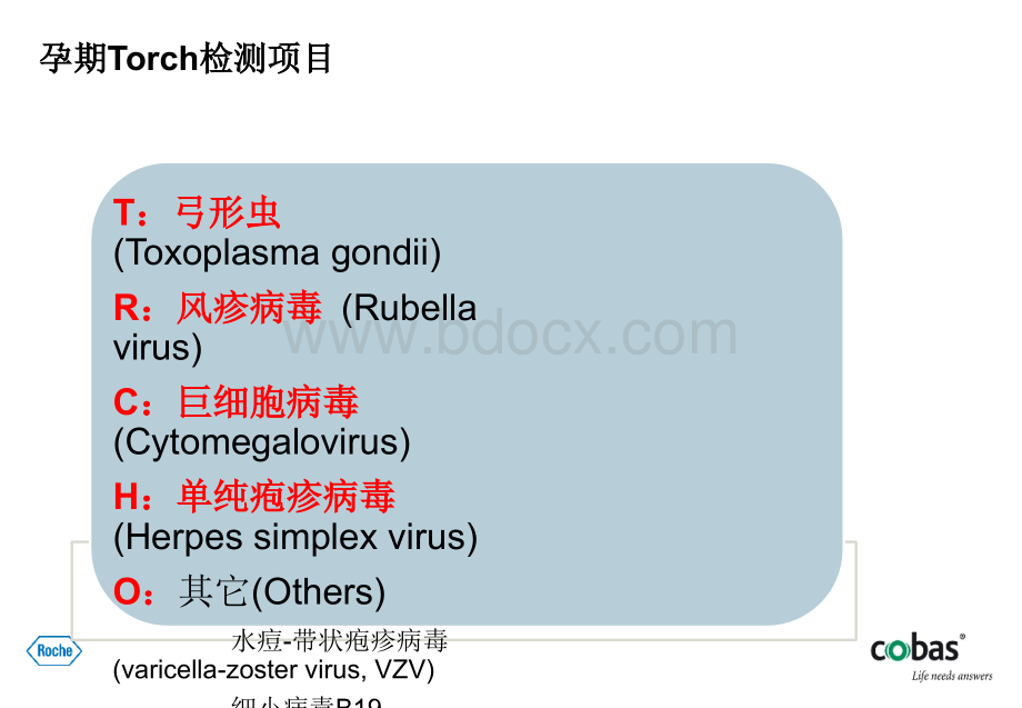 TORCH检测临床价值厂家版PPT推荐.ppt_第3页