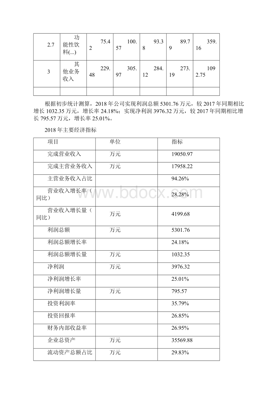 功能性饮料项目年度预算报告Word格式.docx_第3页