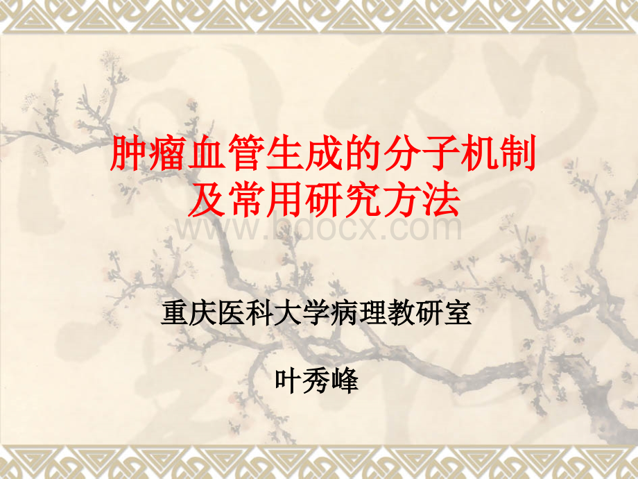 肿瘤的血管生成.ppt_第1页