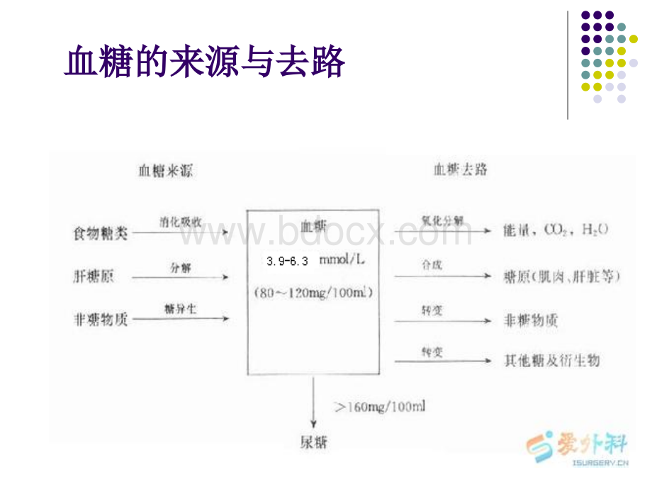 糖尿病常用的实验室检测指标.ppt_第3页