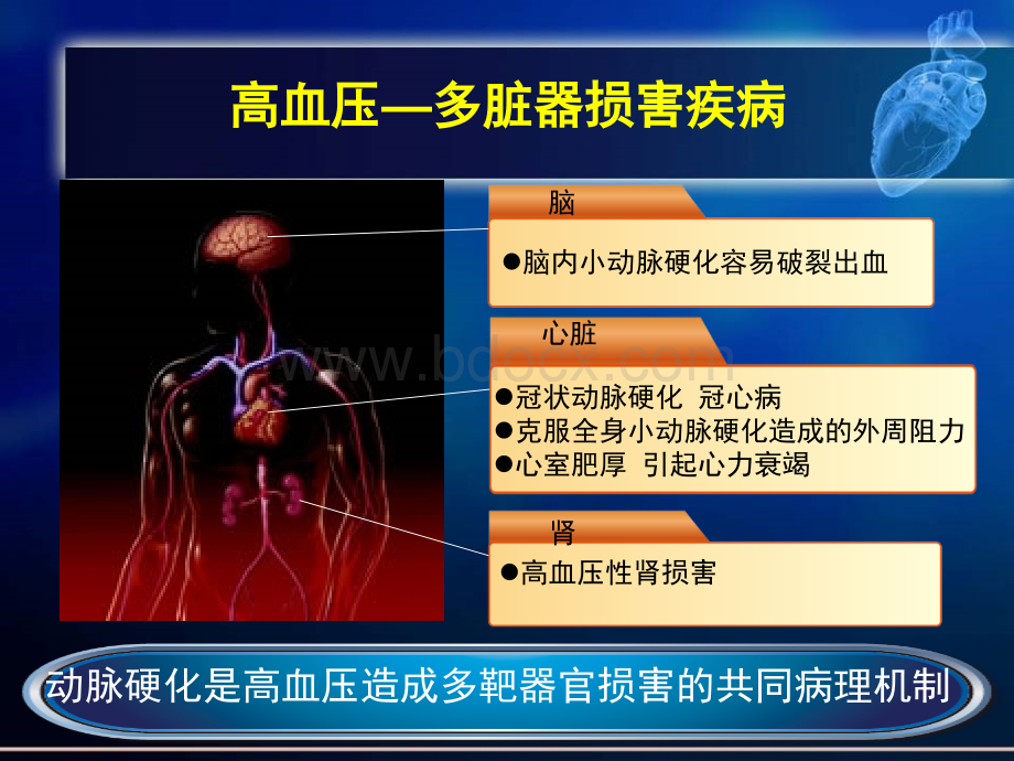 尼莫地平在心内科应用价值.ppt_第2页