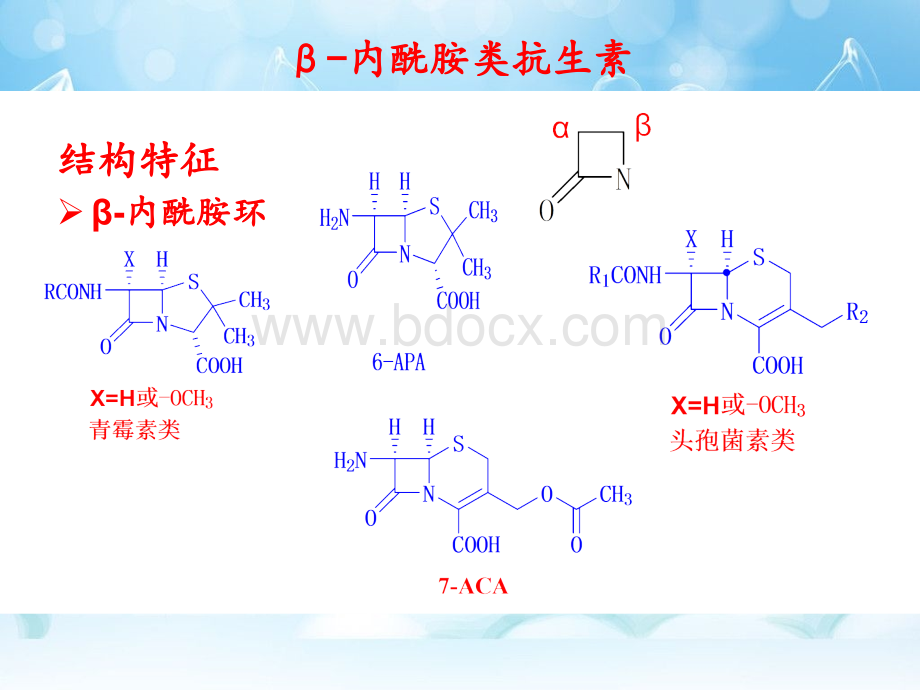 内酰胺类抗生素PPT文件格式下载.ppt_第3页