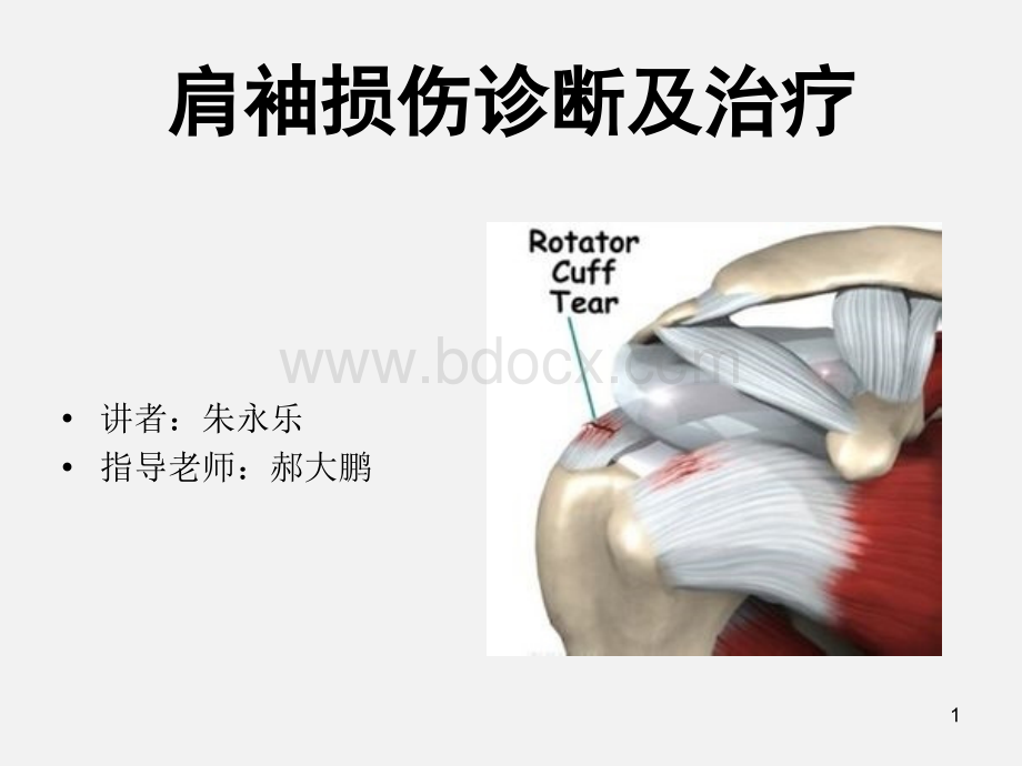 肩袖损伤诊断与治疗PPT格式课件下载.pptx_第1页