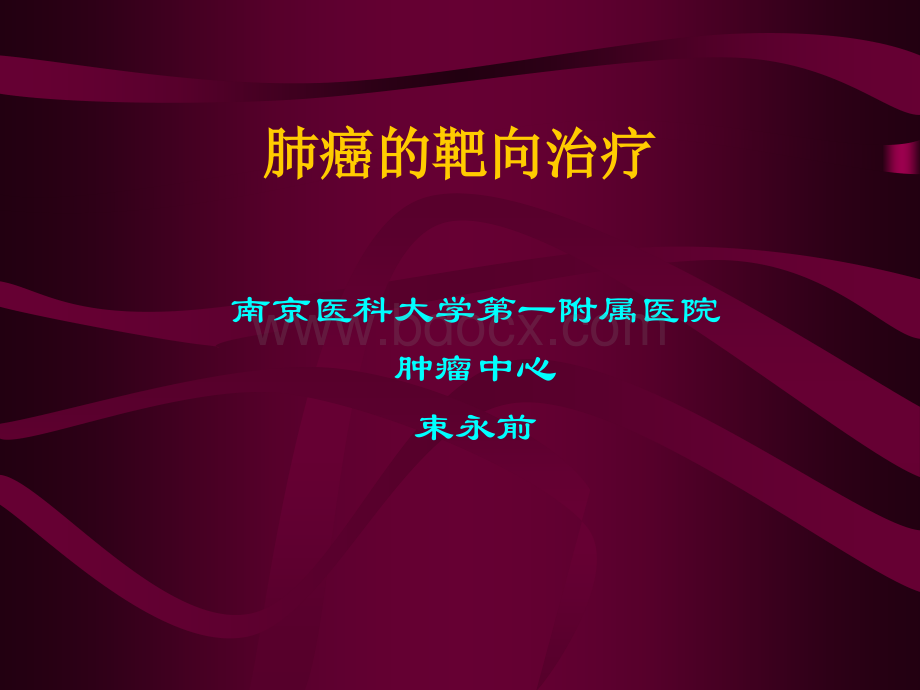 肺癌的靶向治疗优质PPT.ppt_第1页