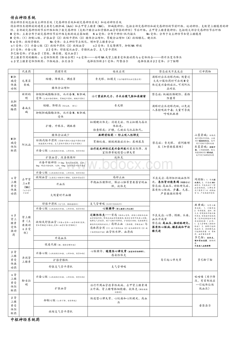 表格版_精品文档_精品文档Word文档格式.doc_第2页