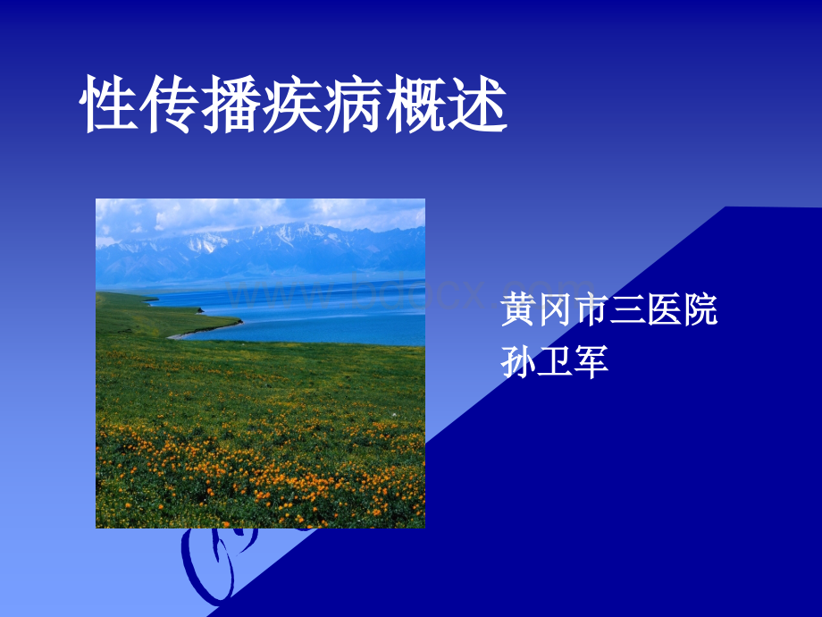 性传播疾病概述.ppt_第1页