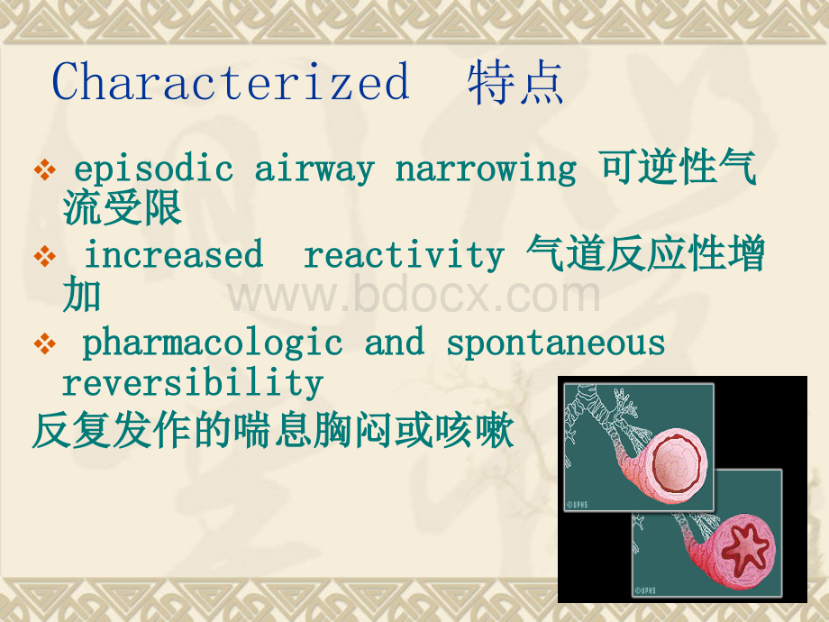 支气管哮喘的观察与优质PPT.ppt_第3页