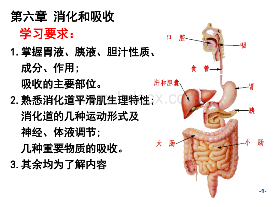 AC6消化1施建蓉.ppt