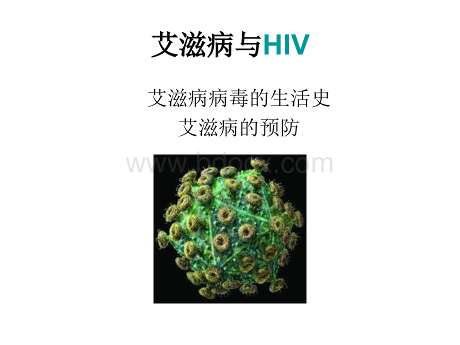 艾滋病与HIV_精品文档PPT文档格式.ppt_第1页