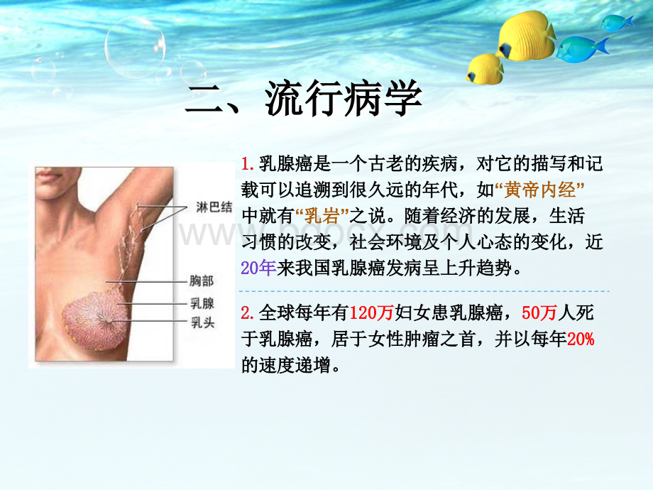 乳腺癌的治疗.ppt_第3页