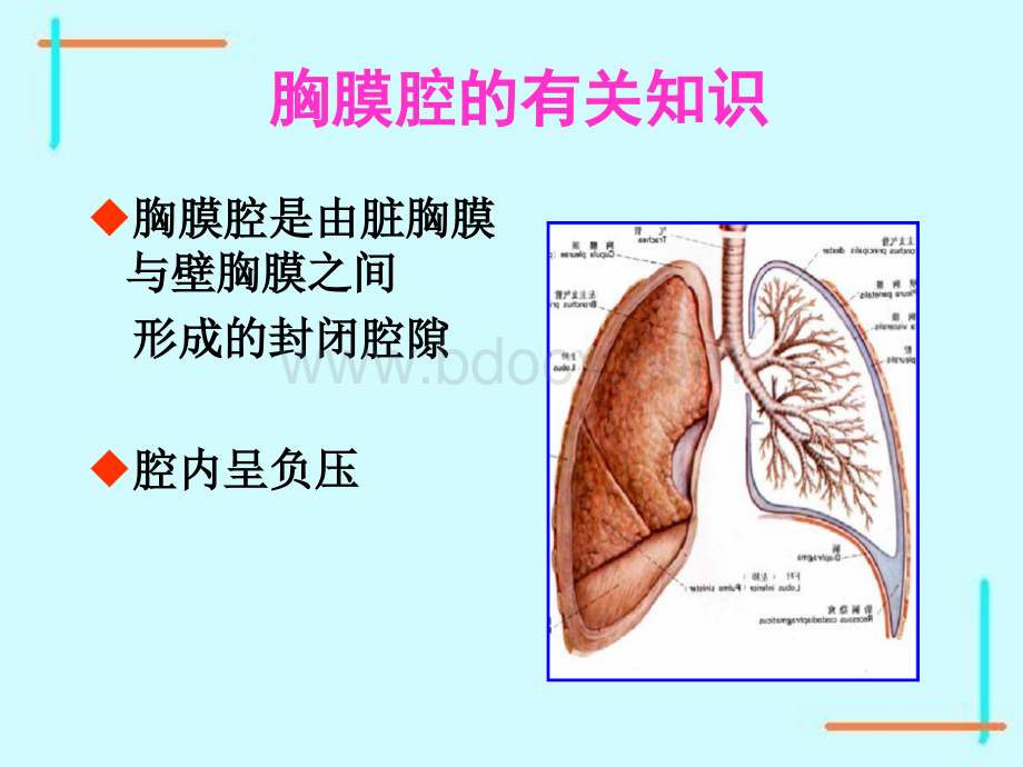 胸腔闭式引流管的护理.ppt_第2页