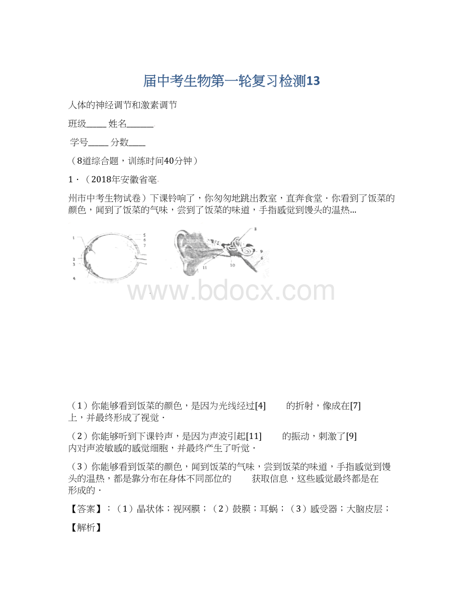 届中考生物第一轮复习检测13.docx