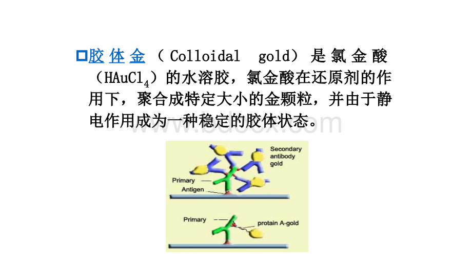 胶体金试纸条检测技术ppt课件PPT课件下载推荐.pptx_第3页