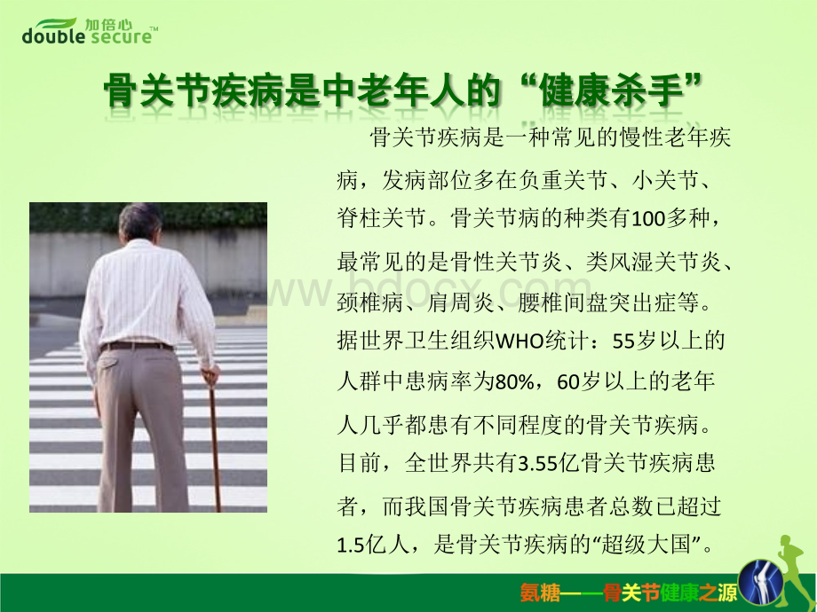 氨糖修改优质PPT.ppt_第3页