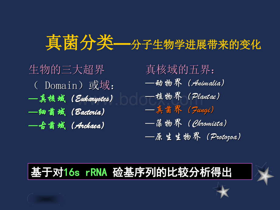 抗真菌治疗.ppt_第2页